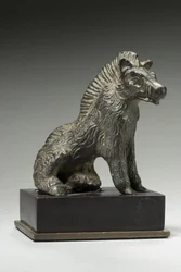 Wild boar, probably from Gaul